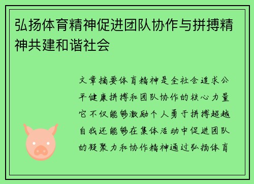 弘扬体育精神促进团队协作与拼搏精神共建和谐社会